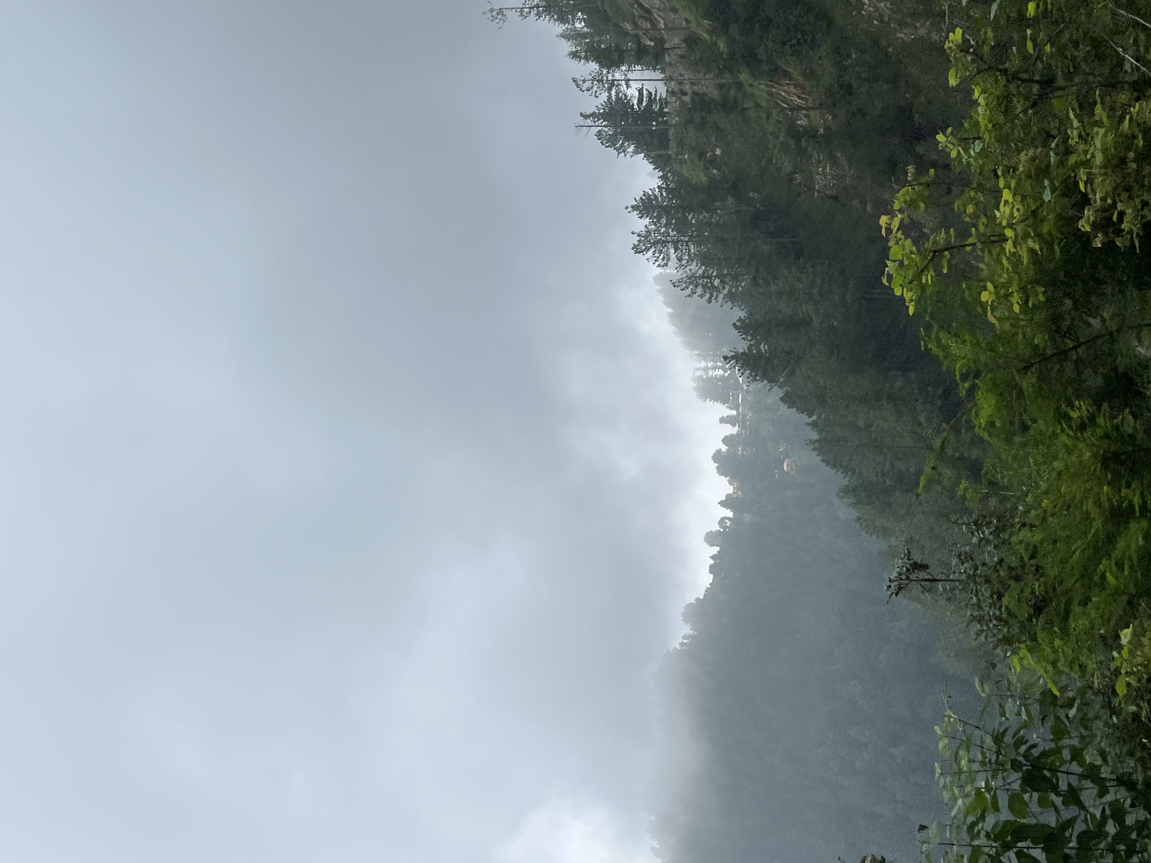 NATHIA GALI